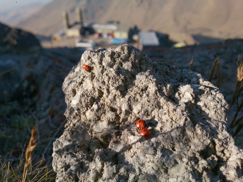 صعود به قله سبلان | عاشقان طبیعت ایران | گزارش صعود به قله سبلان