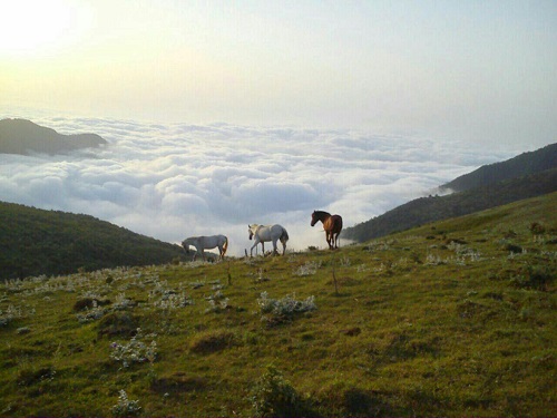 جواهردشت | عاشقان طبیعت ایران