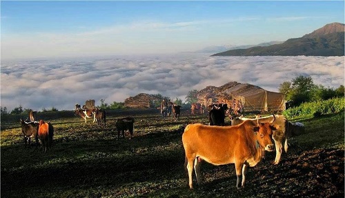 مازیچال | عاشقان طبیعت ایران | روستای مازیچال کلاردشت استان مازندران