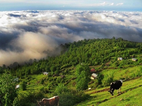 مازیچال | عاشقان طبیعت ایران | روستای مازیچال کلاردشت استان مازندران