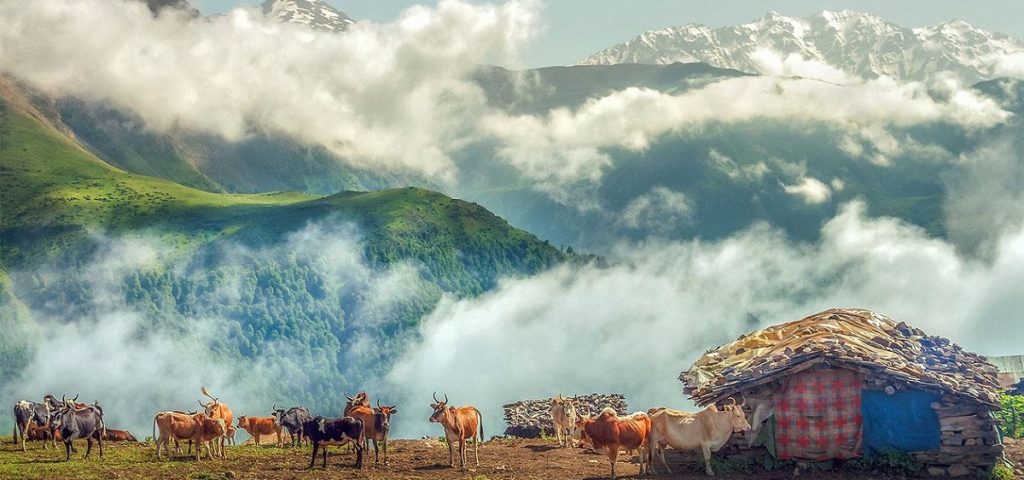 مازیچال | عاشقان طبیعت ایران | روستای مازیچال کلاردشت استان مازندران