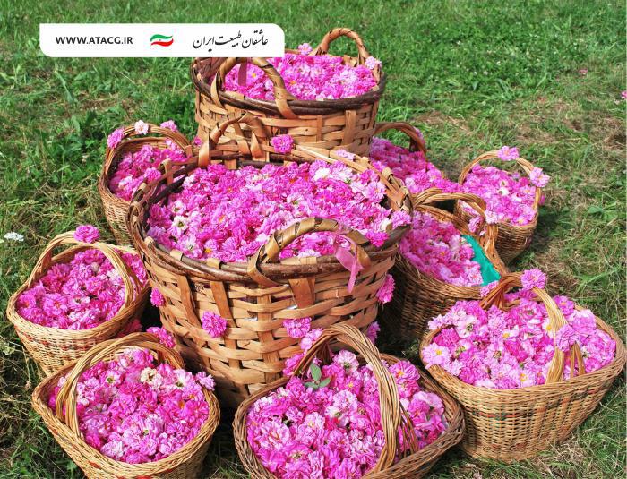 آبشار نیاسر | عاشقان طبیعت ایران | آبشار نیاسر کاشان | جاذبههای گردشگری نیاسر آبشار نیاسر | عاشقان طبیعت ایران | آبشار نیاسر کاشان | جاذبههای گردشگری نیاسر