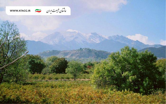 آبشار نیاسر | عاشقان طبیعت ایران | آبشار نیاسر کاشان | جاذبههای گردشگری نیاسر آبشار نیاسر | عاشقان طبیعت ایران | آبشار نیاسر کاشان | جاذبههای گردشگری نیاسر