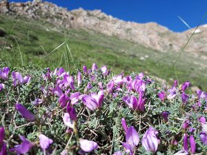 قله سماموس | عاشقان طبیعت ایران | بام استان گیلان | صعود به قله سماموس