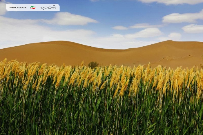کویر مصر | عاشقان طبیعت ایران | دیدنیهای کویر مصر اصفهان