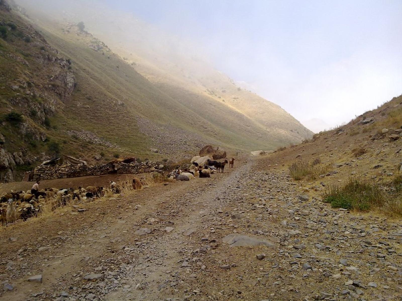 قله کرماکوه | عاشقان طبیعت ایران | صعود به قله کرماکوه