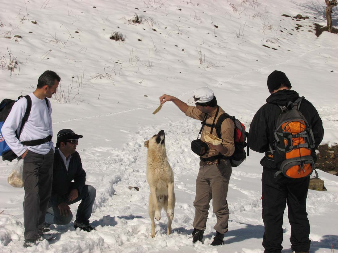 موقعیتهای اضطراری در کوهستان | عاشقان طبیعت ایران | آمادگی برای حوادث