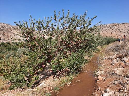 آبشار مارگون | عاشقان طبیعت ایران | بزرگترین آبشار چشمه ای جهان